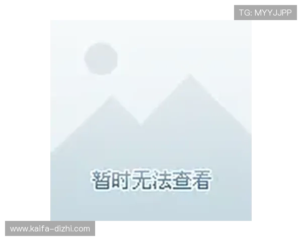 K8直营官网多平台兼容性分析，支持PC端、手机端多设备无缝切换体验