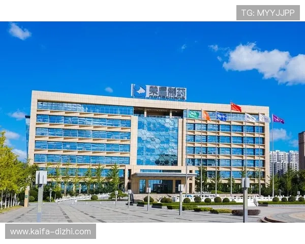 用户反馈K8凯发网址登录线路顺畅无阻，体验提升显著平台信誉增强